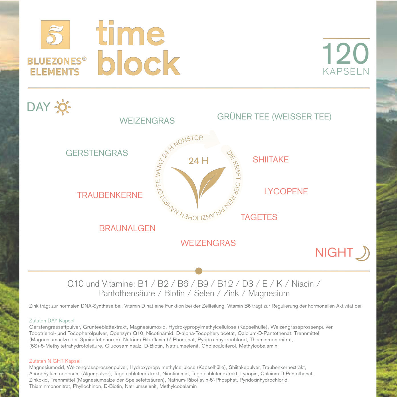 timeblock NUTRITION